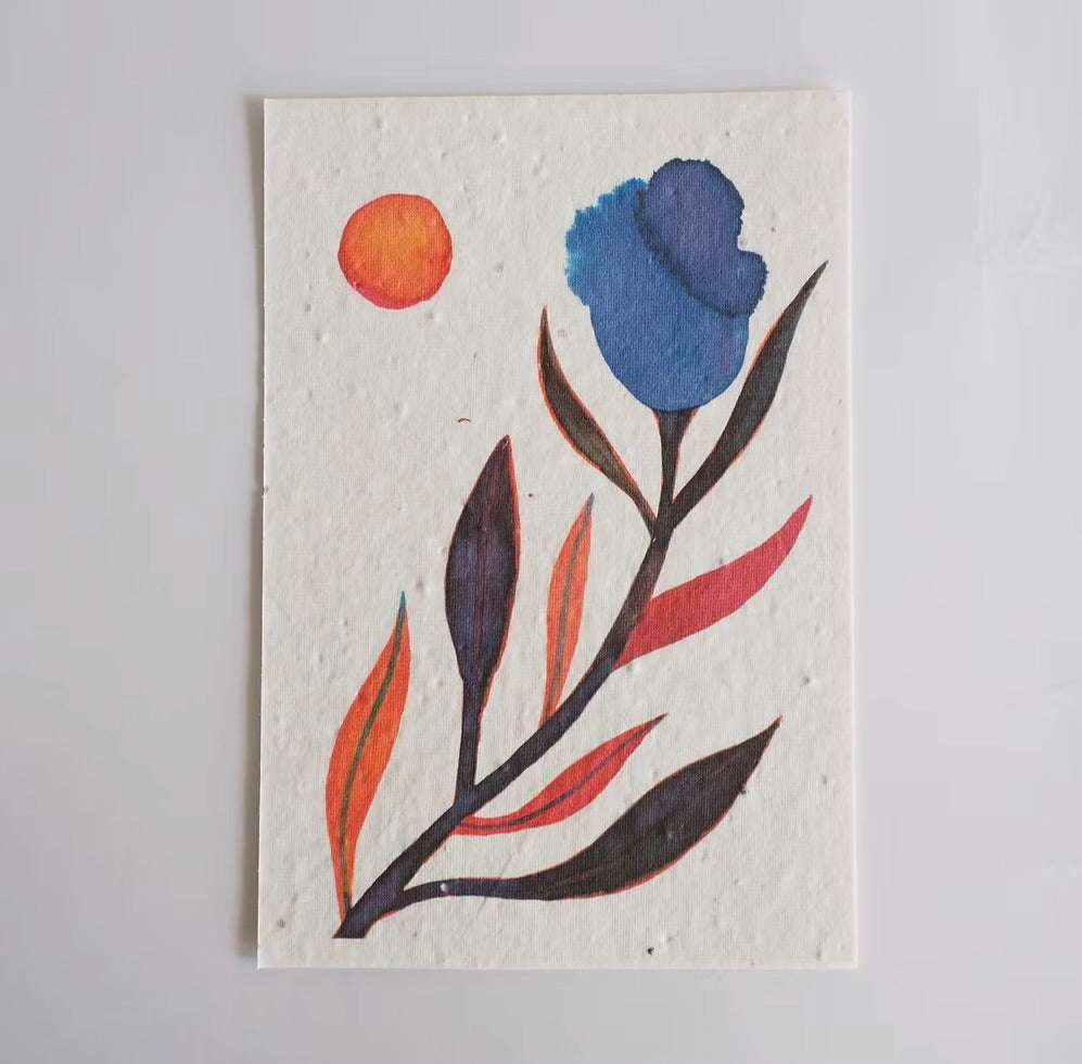 Saatbox «Essbarer Blumenstrauss»