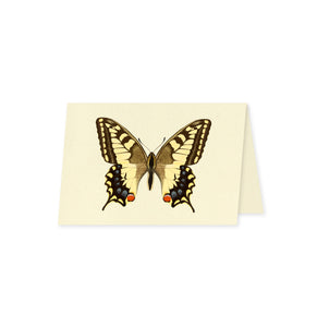 Kartenserie «Schmetterlinge»